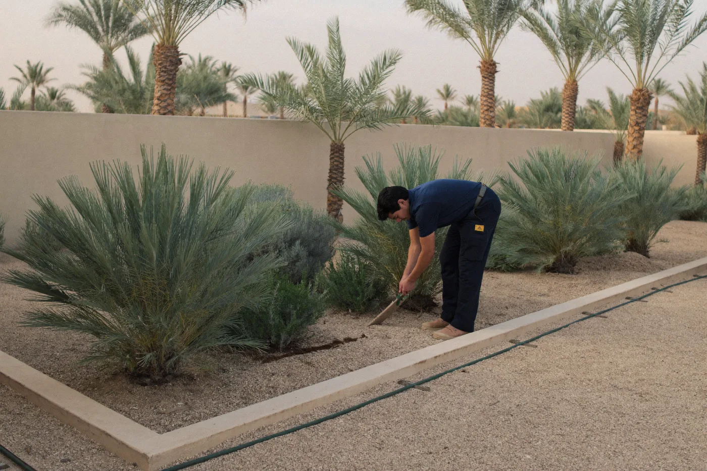 Landscaper planting desert shrubs in a gravel mulched villa garden bed