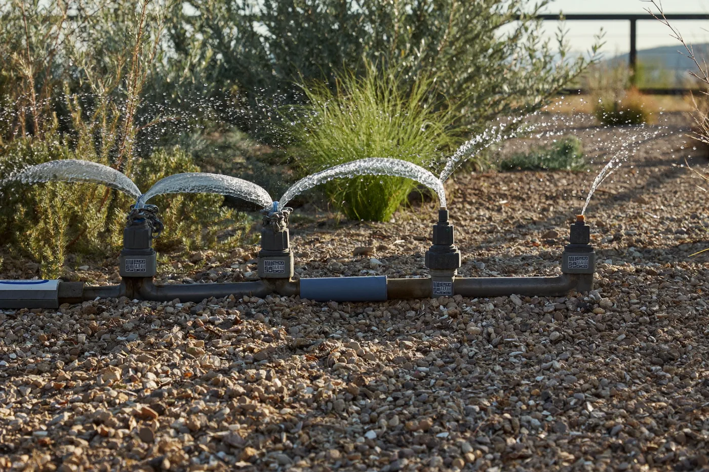 Drip irrigation emitters and tubing laid through a gravel mulched planting bed